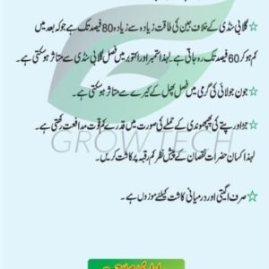 Delinted cotton seed CKC-6