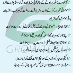 Fuzzy cotton seed Weltop 321