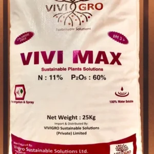 VIVI MAX