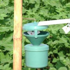 Pheromone traps