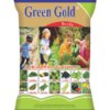 Summer Kitchen Gardening Seeds