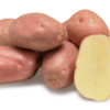 Kuroda potato seeds