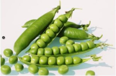 Mator-seeds-300x199 (1)