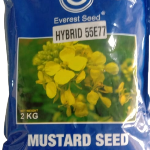 Mustard seeds