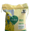 Super raya seeds punjab seed corporation
