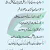 Fuzzy cotton seeds SAIM 102