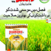 Diamond Hybrid seed 109