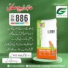 IS 886 MAIZE HYBRID SEED