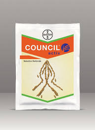 Council activ bayer