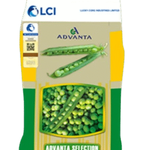 Peas Advanta Selection