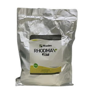 rhodmax rhode grass