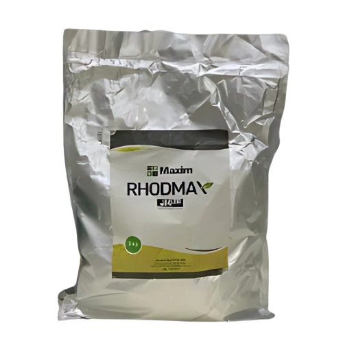 rhodmax rhode grass rhodmax rhode grass