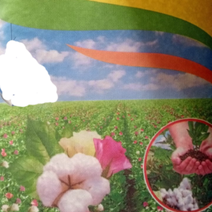 cotton seed delinted FH-1148