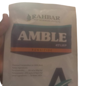 amble rahbar crop sceinces
