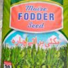 Maize fodder seed